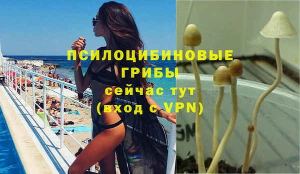 не бодяженный Алзамай
